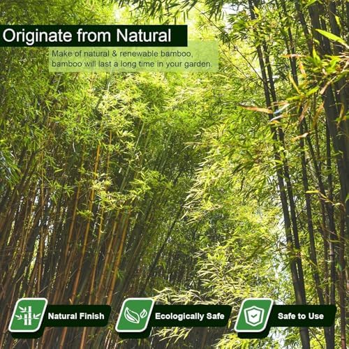 Jollybower 5/8" D 6 Feet Bamboo Stakes 50 Pack, Thicker Heavy-Duty Plant Stakes, Natural Garden Stakes for Bean, Tomato, Bean, Flowers,Trees Potted and Climbing Plant Support - Image 2