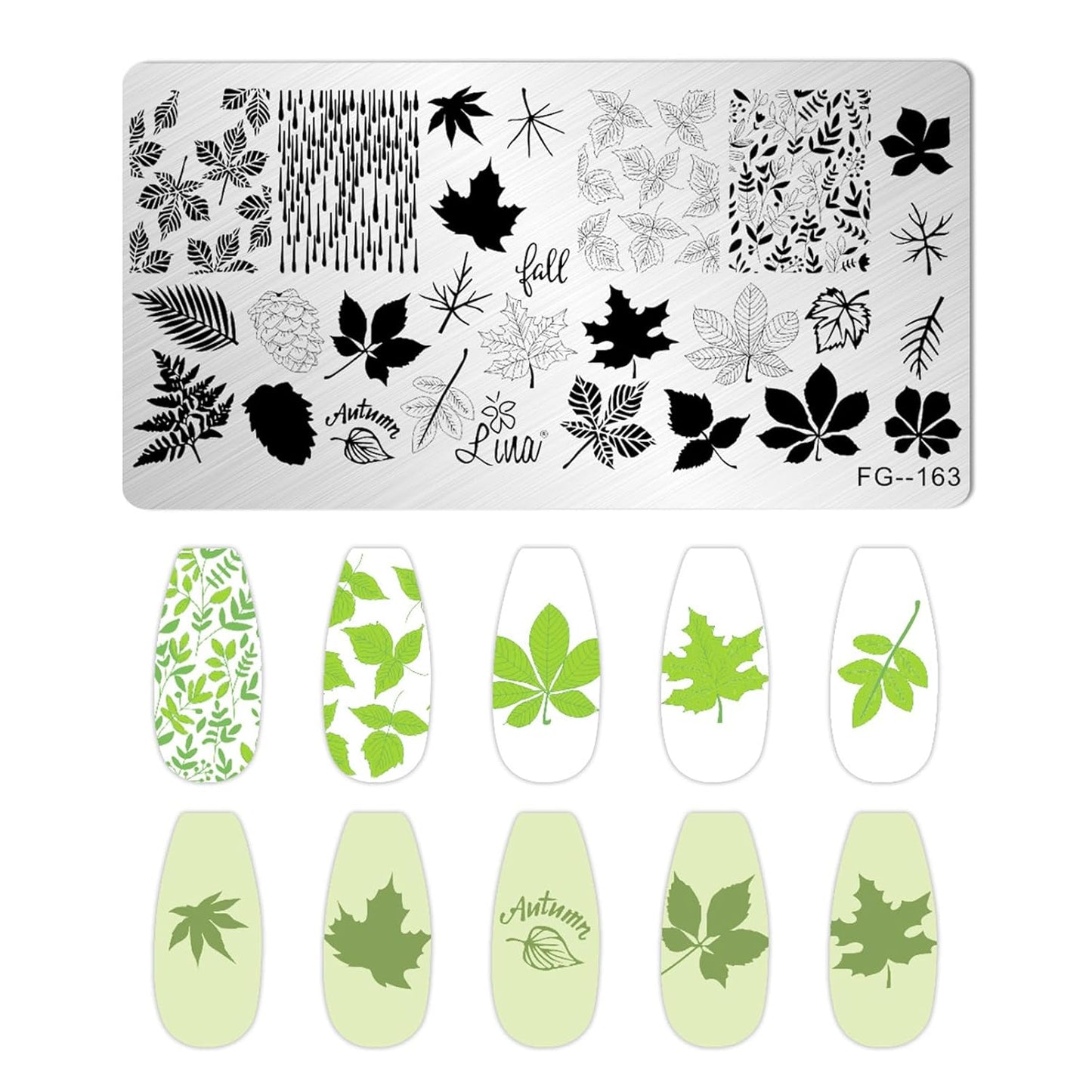 AddFavor Nail Stamper Kit 7pcs Nail Stamping Plates Flower Leaf Maple Nail Stencils with 2 Stamp and 2 Scraper for Home Salon Manicure Design Supplies Tools