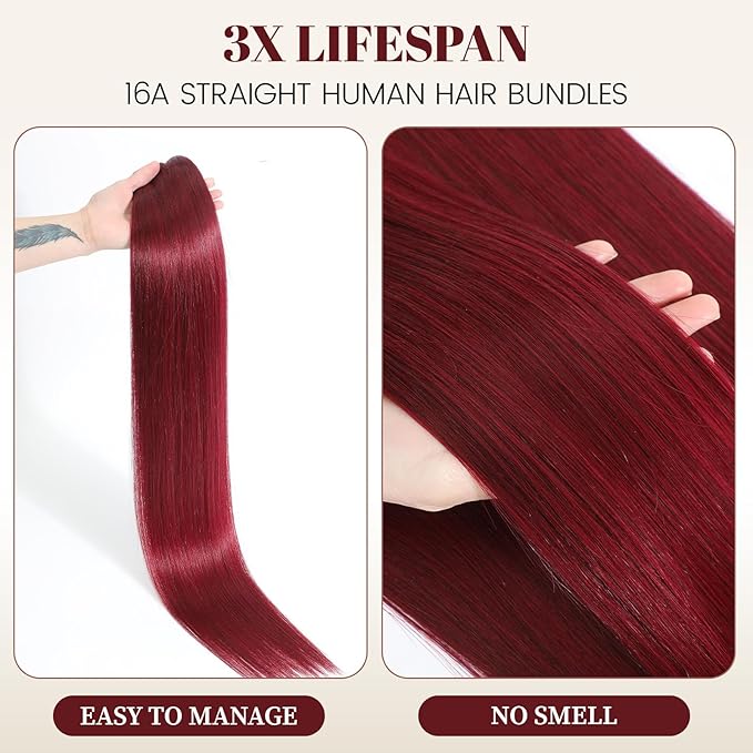 99J Burgundy Human Hair Bundles 16A Raw Straight Bundles Human Hair,100% Unprocessed Burmese Virgin Remy Hair Extensions,No Tangle Shedding (99J Burgundy Bundles, 22 24 26 Inch)