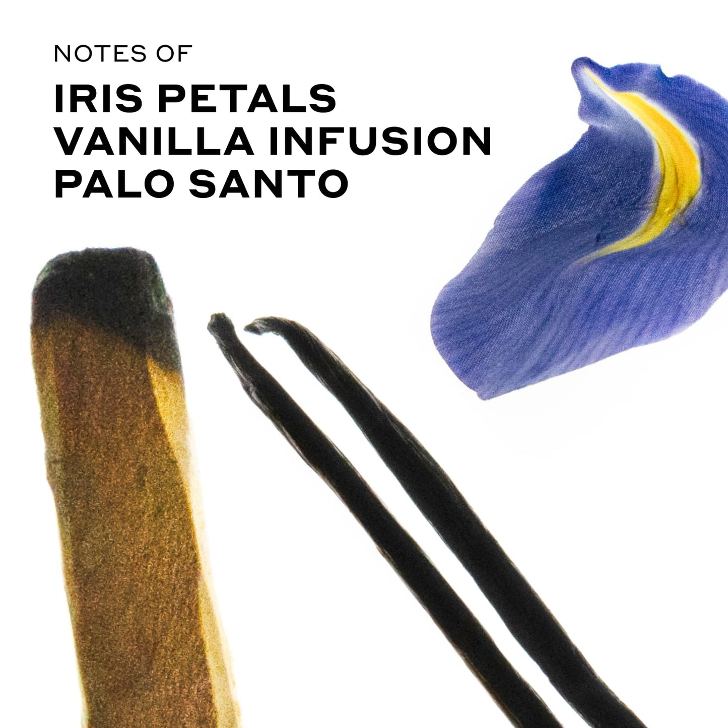 Ellis Brooklyn VANILLA SANTO Perfume Oil Roll-On for Women – Sensual Grown-Up Vanilla Fragrance – Woody & Smoky Perfume with Palo Santo, Cedarwood & Myrrh – Travel-Friendly Rollerball, 15ml