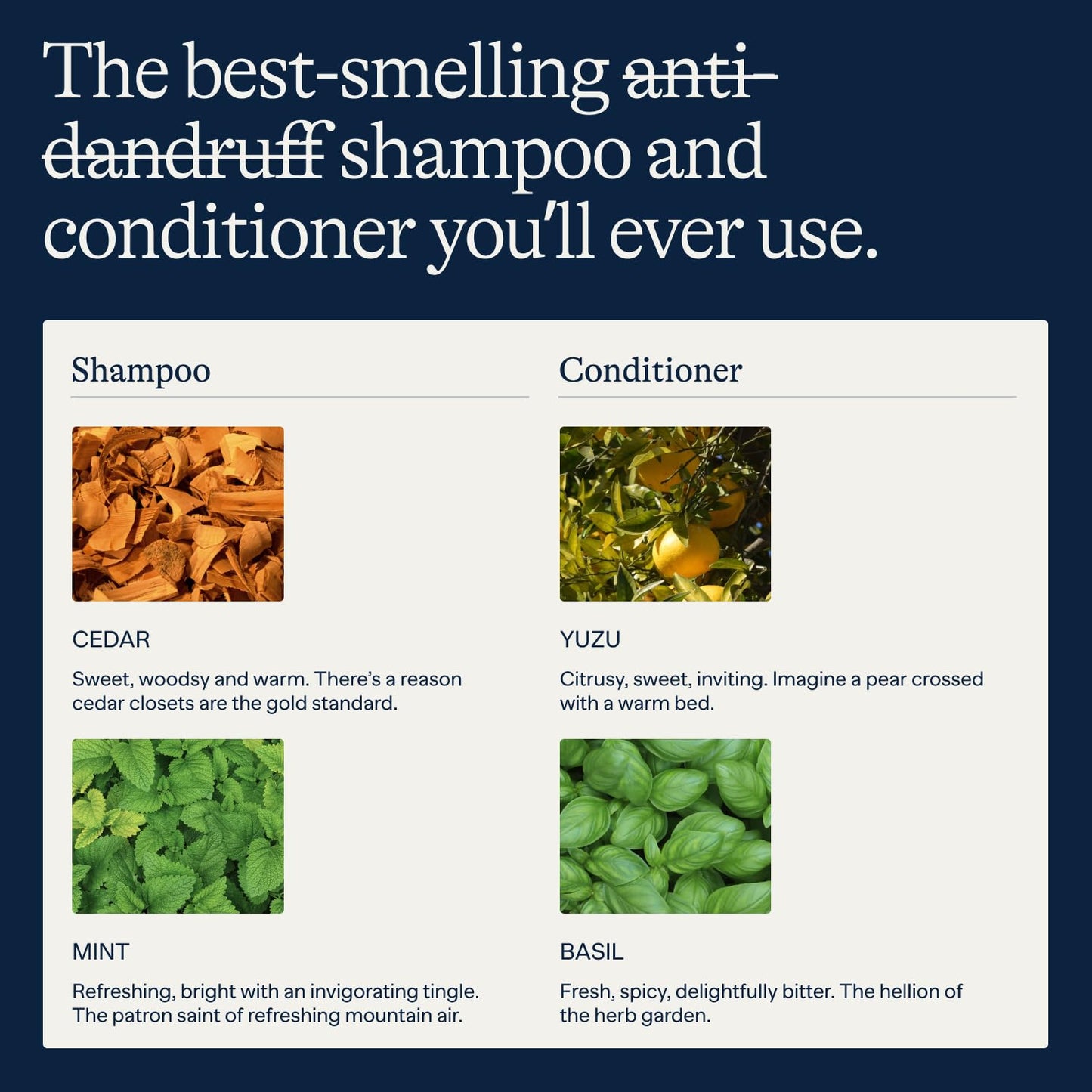 Flakes Anti Dandruff Shampoo and Conditioner Set | Dry, Flaky, & Itchy Scalp Shampoo | Sulfate & Paraben Free for Healthy Hair | Hydrating Shampoo & Moisturizing Conditioner for Scalp Care | 9 fl oz