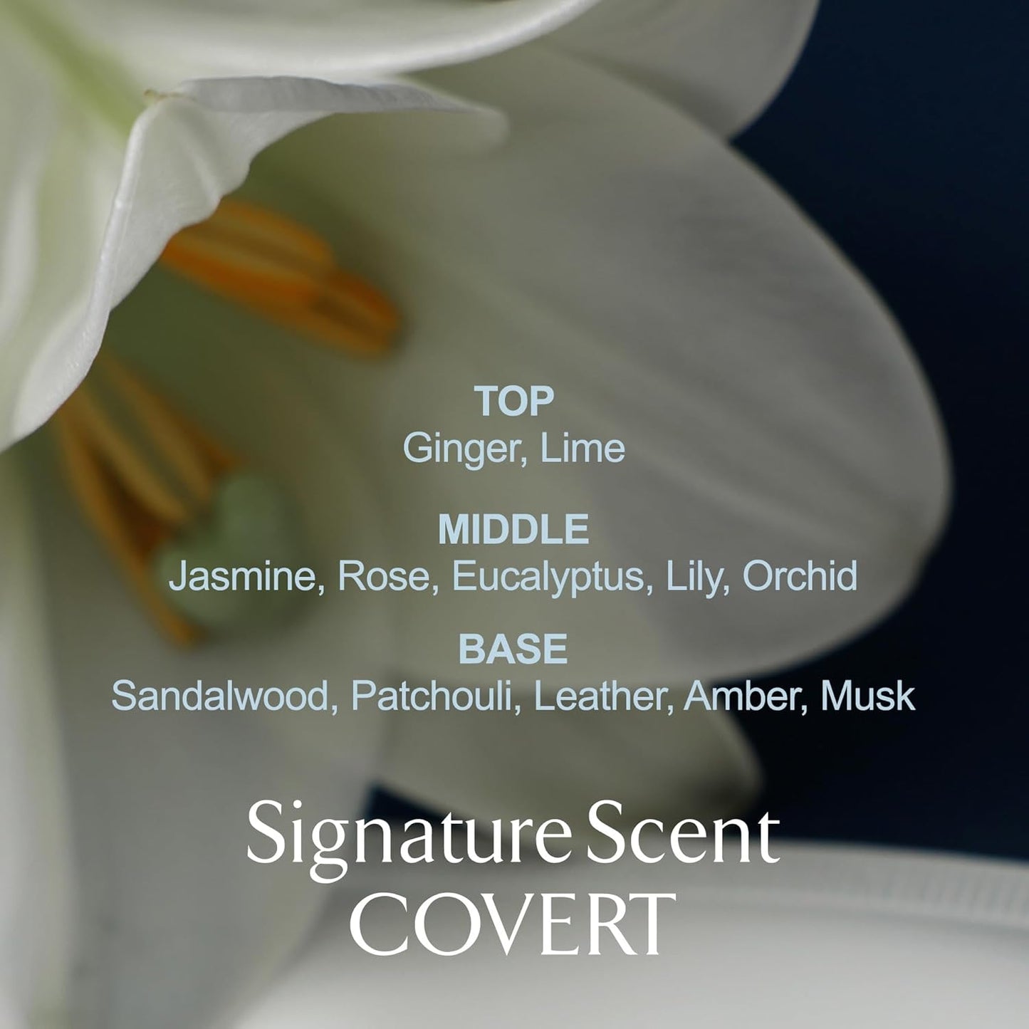 LA MUSE Perfume Body Lotion for Men(Deep Woody Amber) | Moisture Amber Body Lotion for Dry Skin, All Skin Types with Shea Butter | Non-Sticky & Non-Greasy, Fast Absorbing for Daily Use | 10.14 fl oz