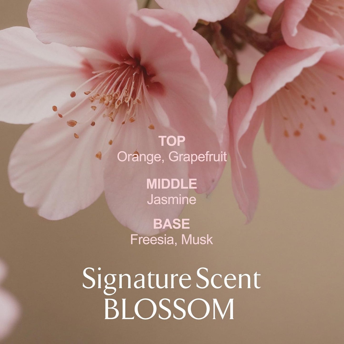 LA MUSE Perfume Body Lotion for Women(Spring Floral) | Body Cream for Women, Dry Skin with Shea Butter, Peptide | Softens & Comforts Sensitive Skin with Silky Smooth Finish, Non-Sticky | 10.14 fl oz