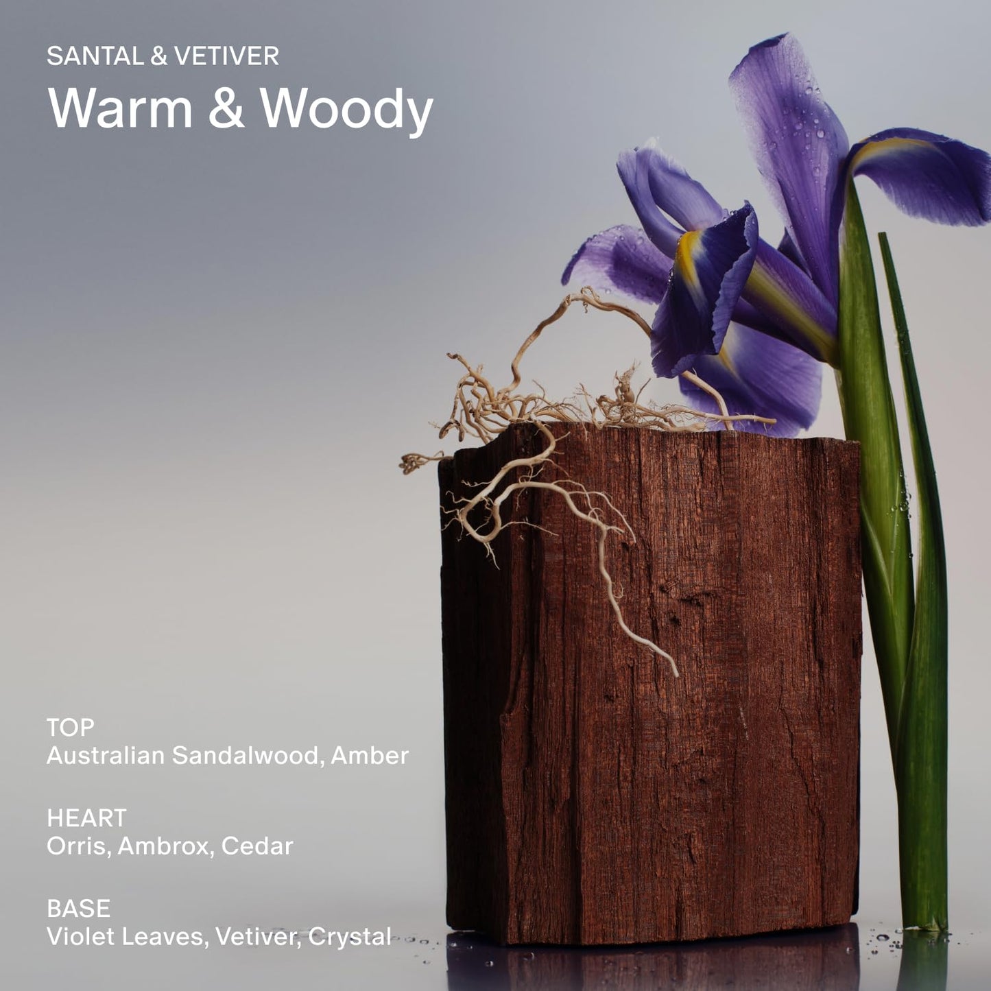 Salt & Stone Body Mist, Santal & Vetiver Scent, Skincare Infused Perfume Hair & Body Spray for Women and Men, Hydrating Fragrance with Glycerin and Red Algae, Vegan, Cruelty Free, 3.4 fl oz