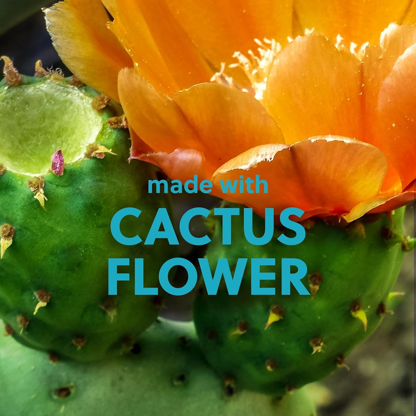 Tree Hut Desert Haze Shea Sugar Scrub | Exfoliating Body Scrub Removes Dead, Dry Skin for a Soft & Hydrated Feel | Nourishing Essential Body Care | 18 fl oz.