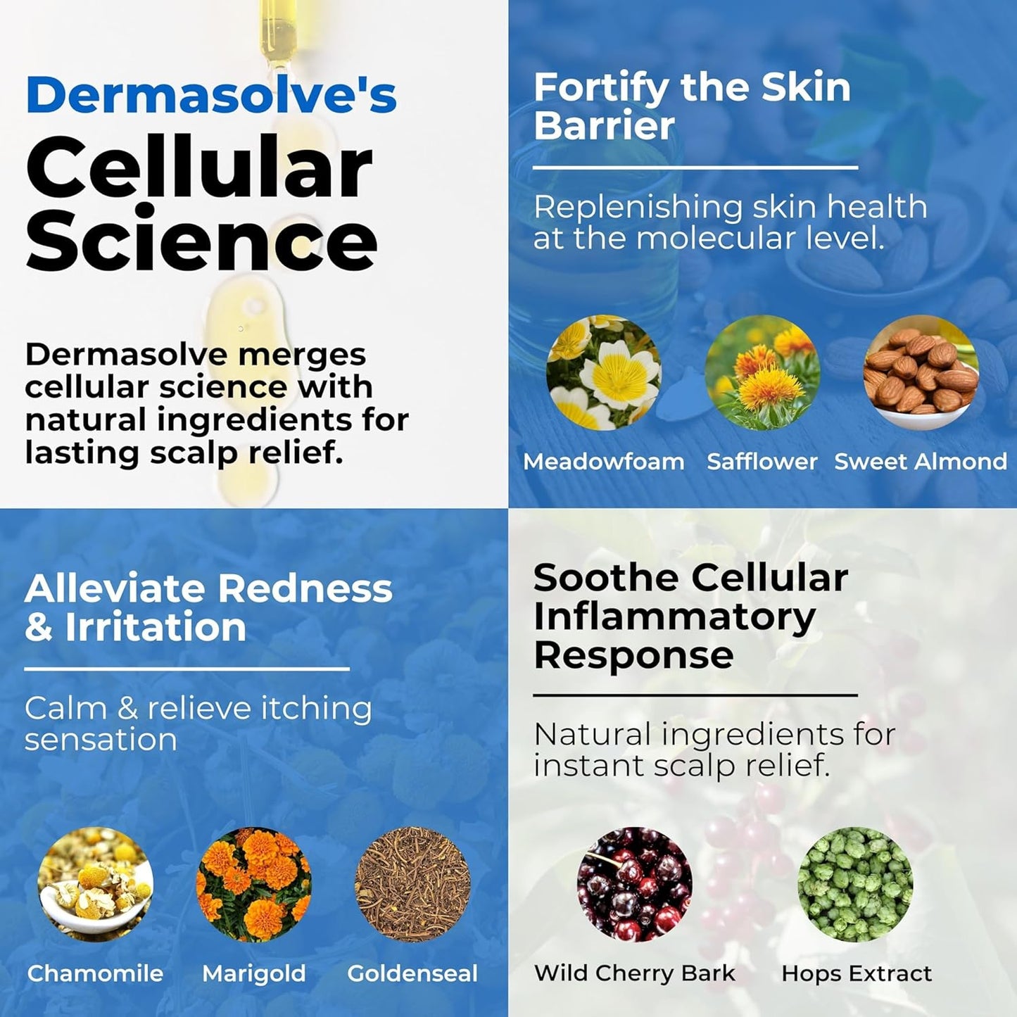 Dermasolve 4 oz Psoriasis, Seborrheic Dermatitis, & Dandruff Scalp Oil - Dermatologist Approved - Flaky Scalp Relief, Clinically Tested, Long-Lasting Itch-Free, High-Performance Formula