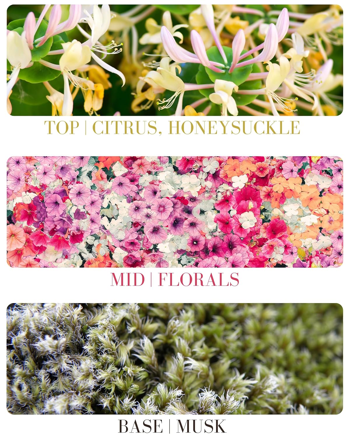 Honeysuckle Delicious Natural Pure Essential and Fragrance Oil Perfume Roll On with Organic Jojoba Oil, Eau de Toilette, Small-Batch, Alcohol Free, Handmade in California